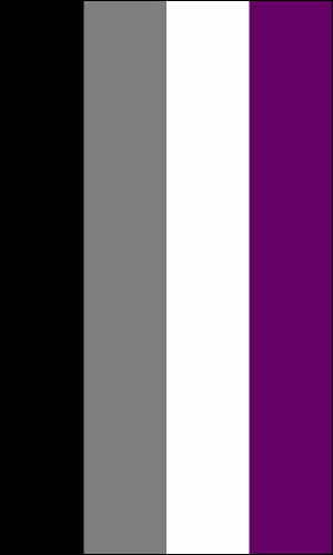 the asexual or ace pride flag. four stripes in black, gray, white, and purple.