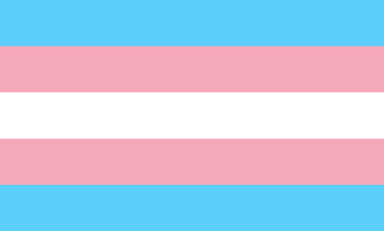 the trans pride flag. five stripes in blue, pink, white, pink, and blue.